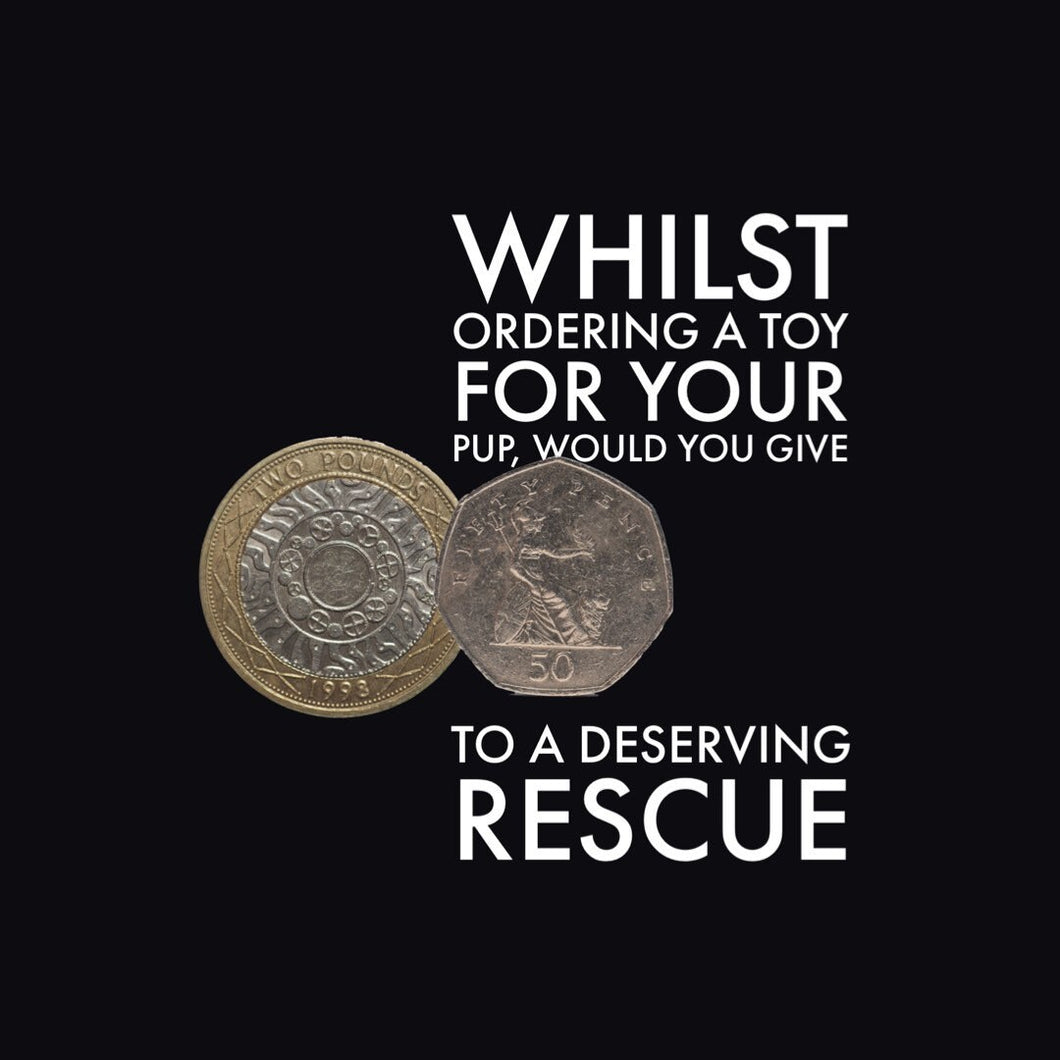 Donate Two POUNDS & FIFTY PENCE to a deserving rescue